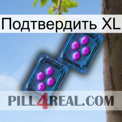 Подтвердить XL 03